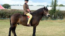 Exmoor-winner-7-9-13.jpg