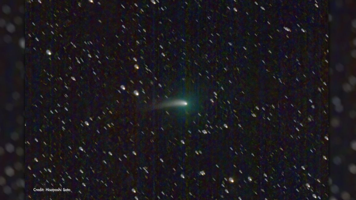 Possible naked-eye comet will visit Earth for 1st time since Neanderthals in 202..