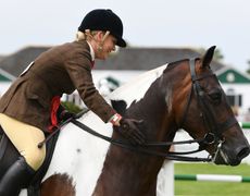 Red Rock III ridden by Vicky Hesford