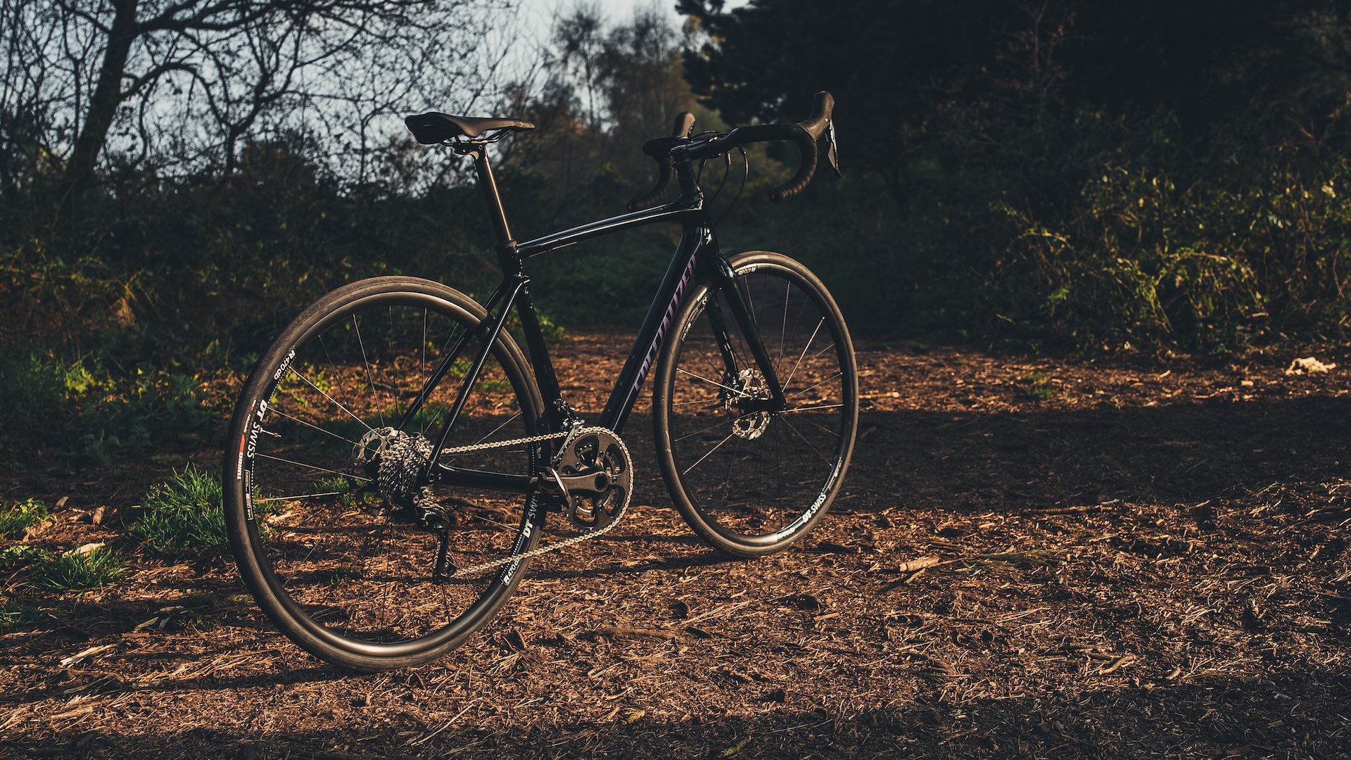 specialized roubaix sport