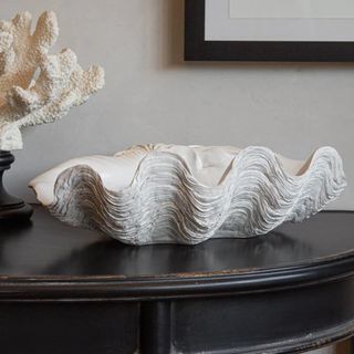 Large White Clam Shell Display Dish