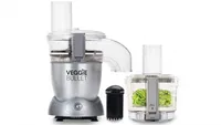 Nutribullet Veggie Bullet
