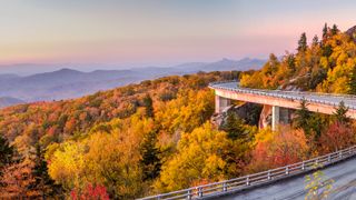 Scenic drive at Dawn on the Blue Ridge Parkway in Peak Autumn colours, North Carolina