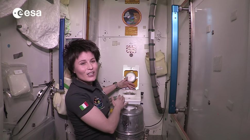 How To Pee In Space And What To Do If The Toilet Breaks Space