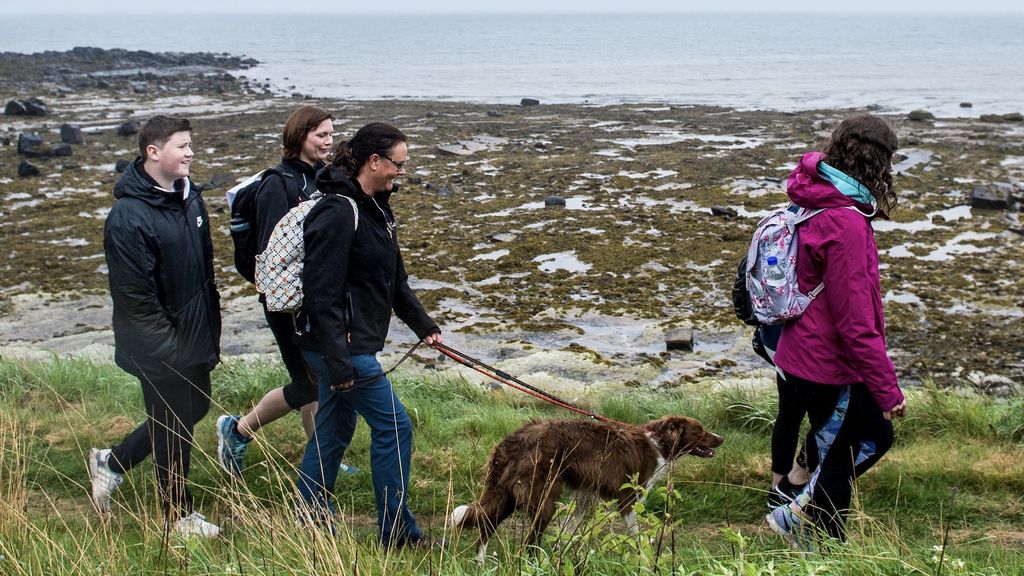 Porcupine quills in dogs what to do if your canine gets quilled Advnture