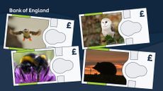 Bank of England new animal banknotes