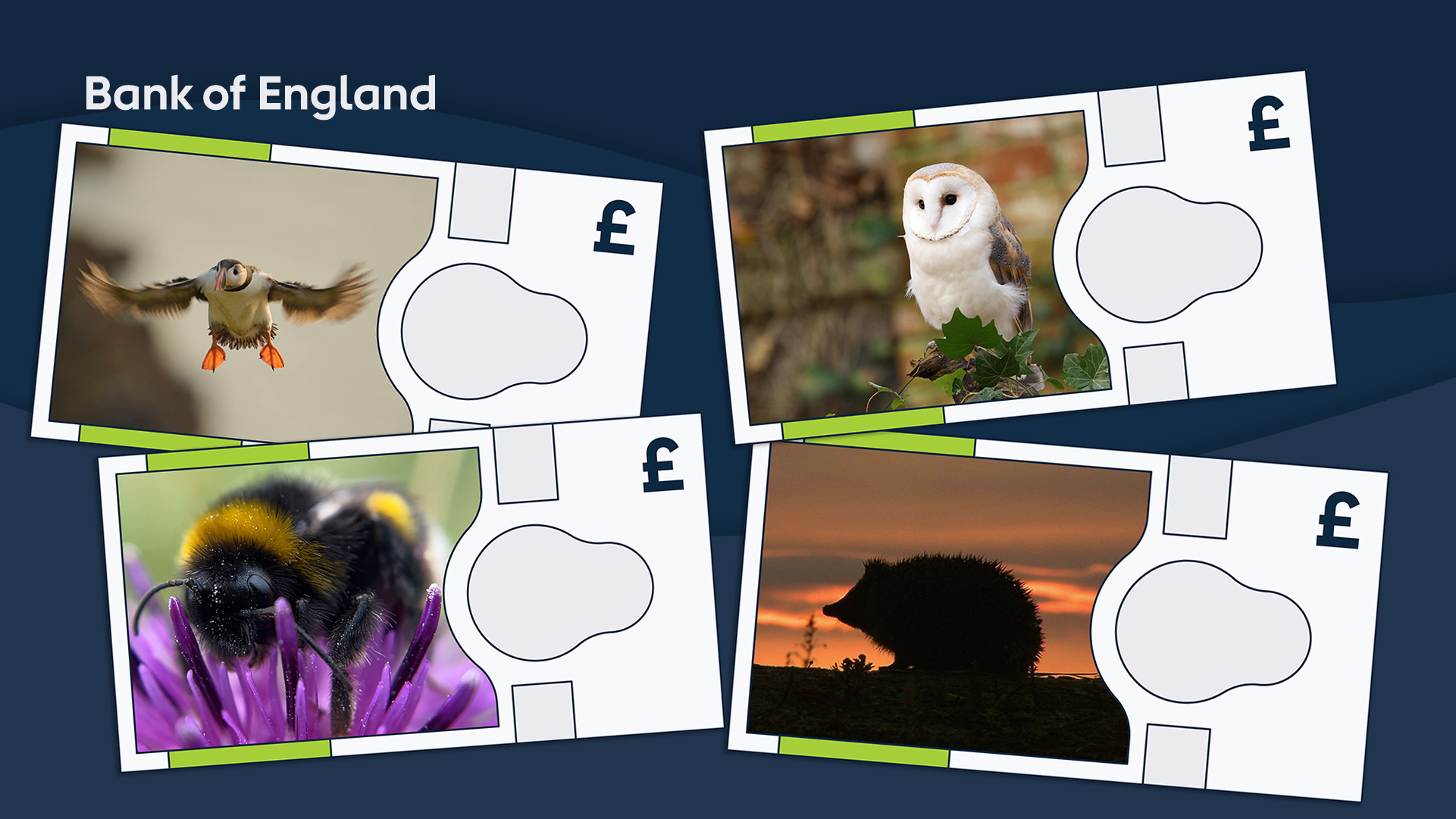 Bank of England new animal banknotes