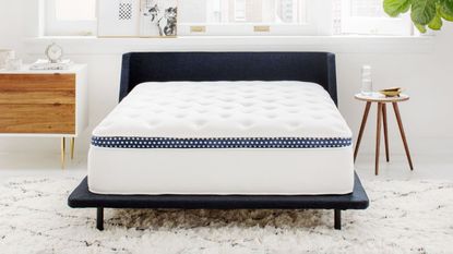 Winkbed Plus on a berber rug in a white room and curved navy bed frame