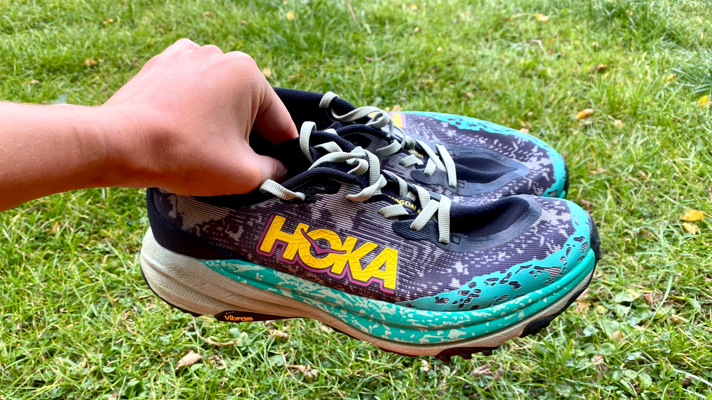 the Hoka Speedgoat 6