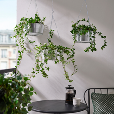 Three IKEA steel hanging planters containing ivy against a white balcony wall.