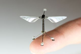 tiny flying robots