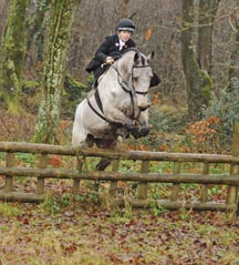 Side_saddle_011.jpg