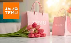 Temu logo placed over an ai generated image of roses and pink temu bags