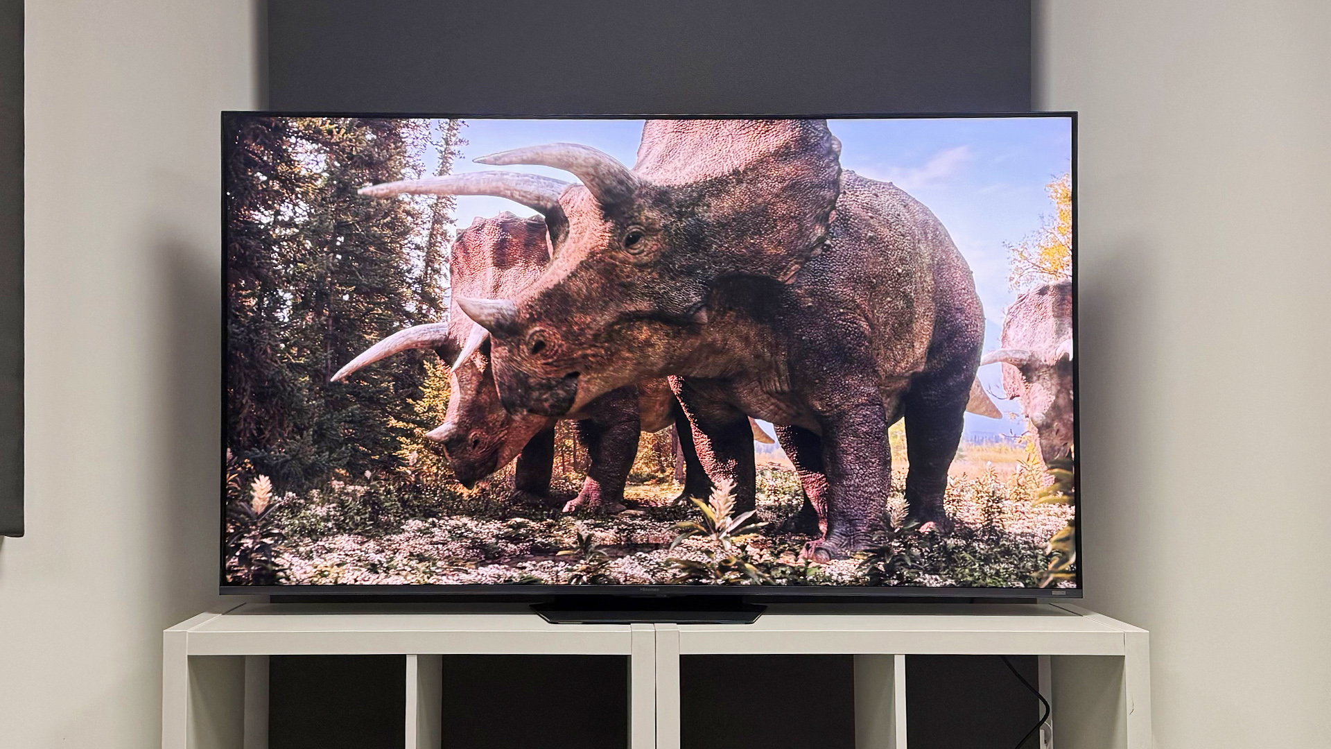 The 65-inch Hisense UR9 RGB Mini LED TV, photographed on a white, wooden unit. On the screen is a still from Netflix documentary, The Dinosaurs.