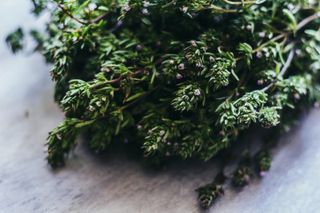 how to grow thyme: there are many different varieties to choose from