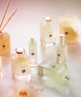 Jo Malone London Blossoms Collection