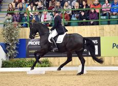 Michael-Eilberg-Half-Moon-Dynasty-I12.jpg
