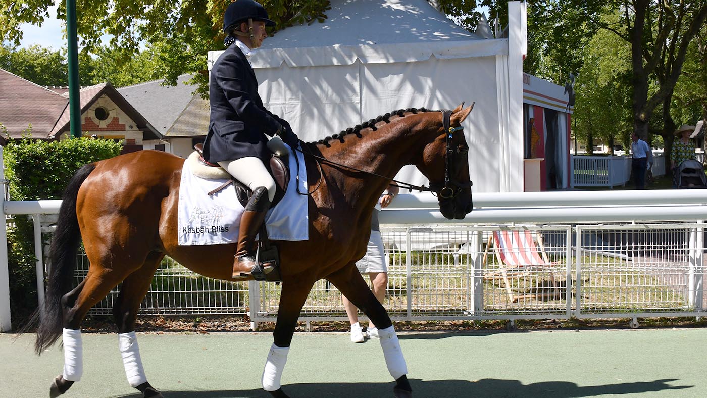 Web Kasbah Bliss B DSC_7474_347700371_588168492 Group One winner Kasbah Bliss in new career as dressage horse with Eugenie Danloux