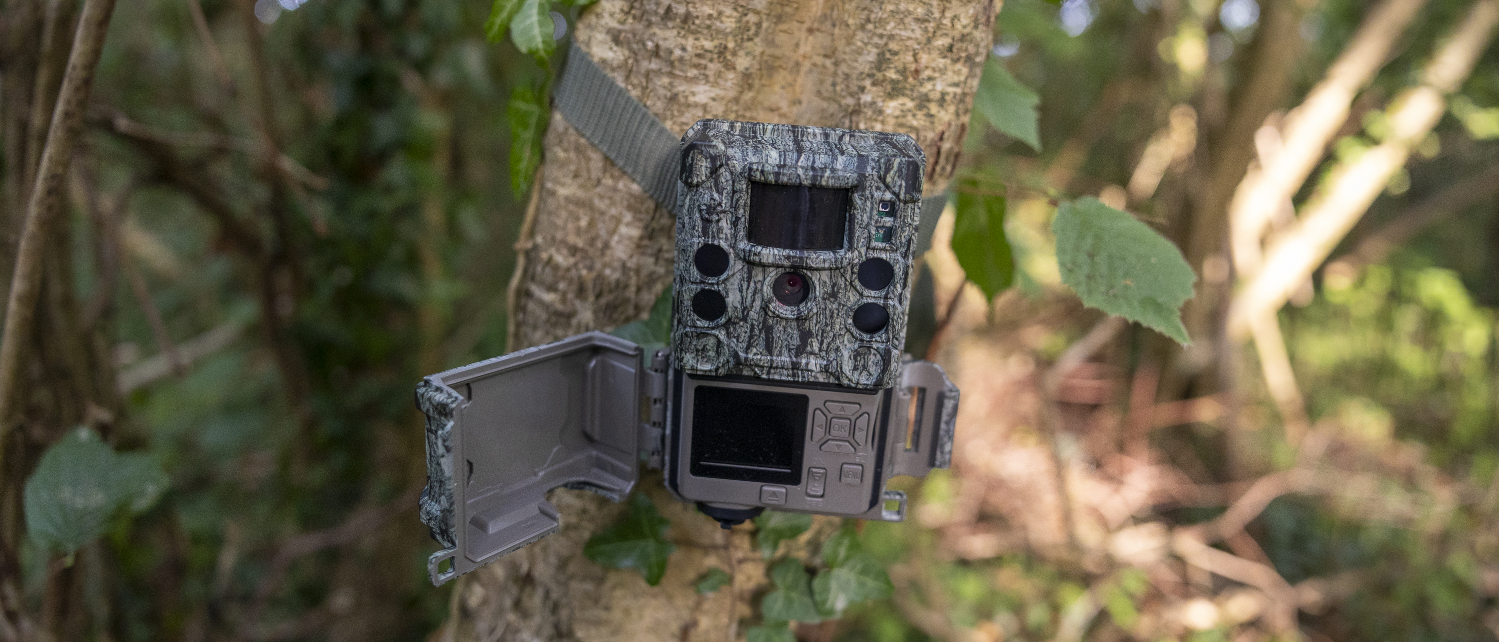 The Bushnell Core S-4K No Glow trail camera mounted on a woodland tree