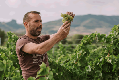 Rioja grower and winemaker Victor Ausejo
