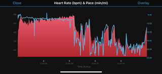 You can see that my pace was dropping, but my heart rate rose quickly. There was no way back - and the fact pace and heart rate matched mean the monitor was very likely accurate.