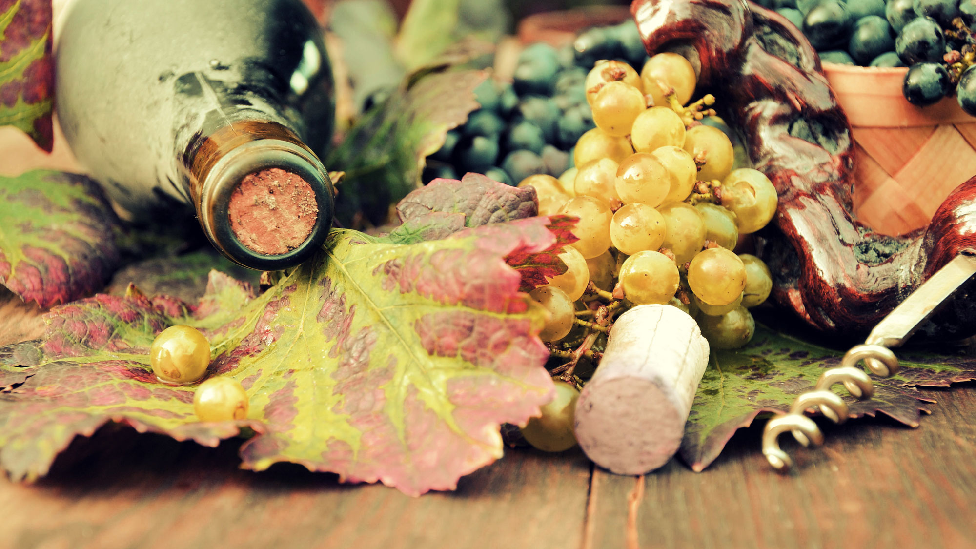 wine corks and plants and bottles on table
