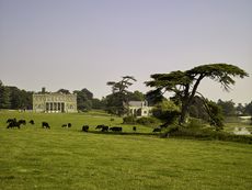 Crichel, Dorset: The south fa&ccedil;ade, framed by a great cedar on the edge of the lake