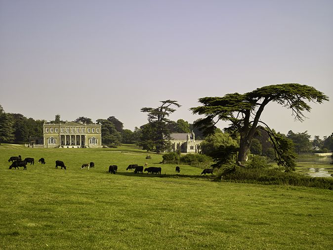 Crichel, Dorset: The south façade, framed by a great cedar on the edge of the lake