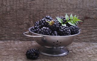 Blackberry recipes