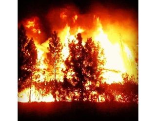 Trees Ablaze During Rim Fire in California