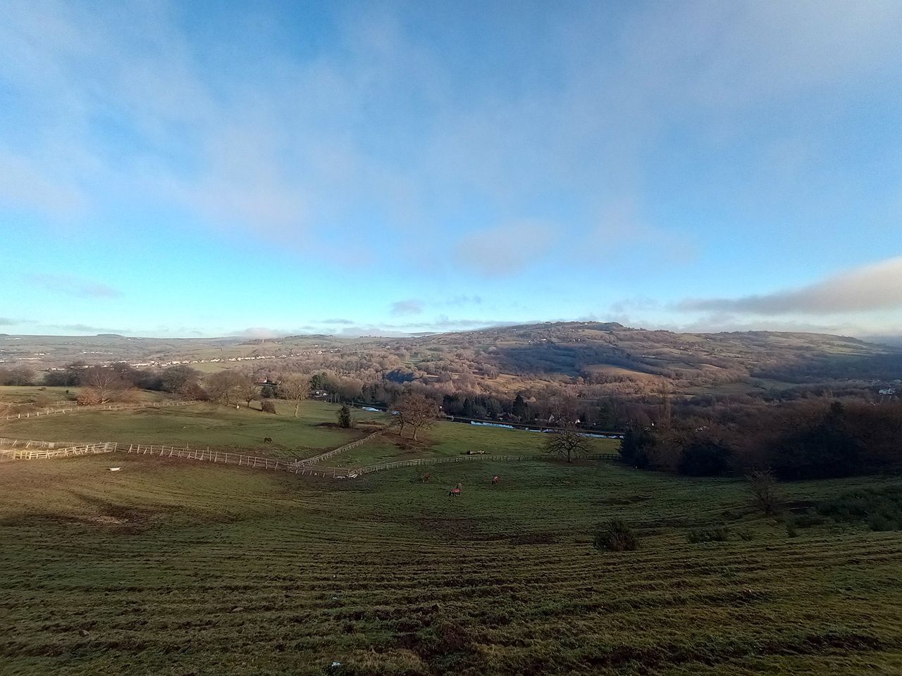 Moto G31 camera sample