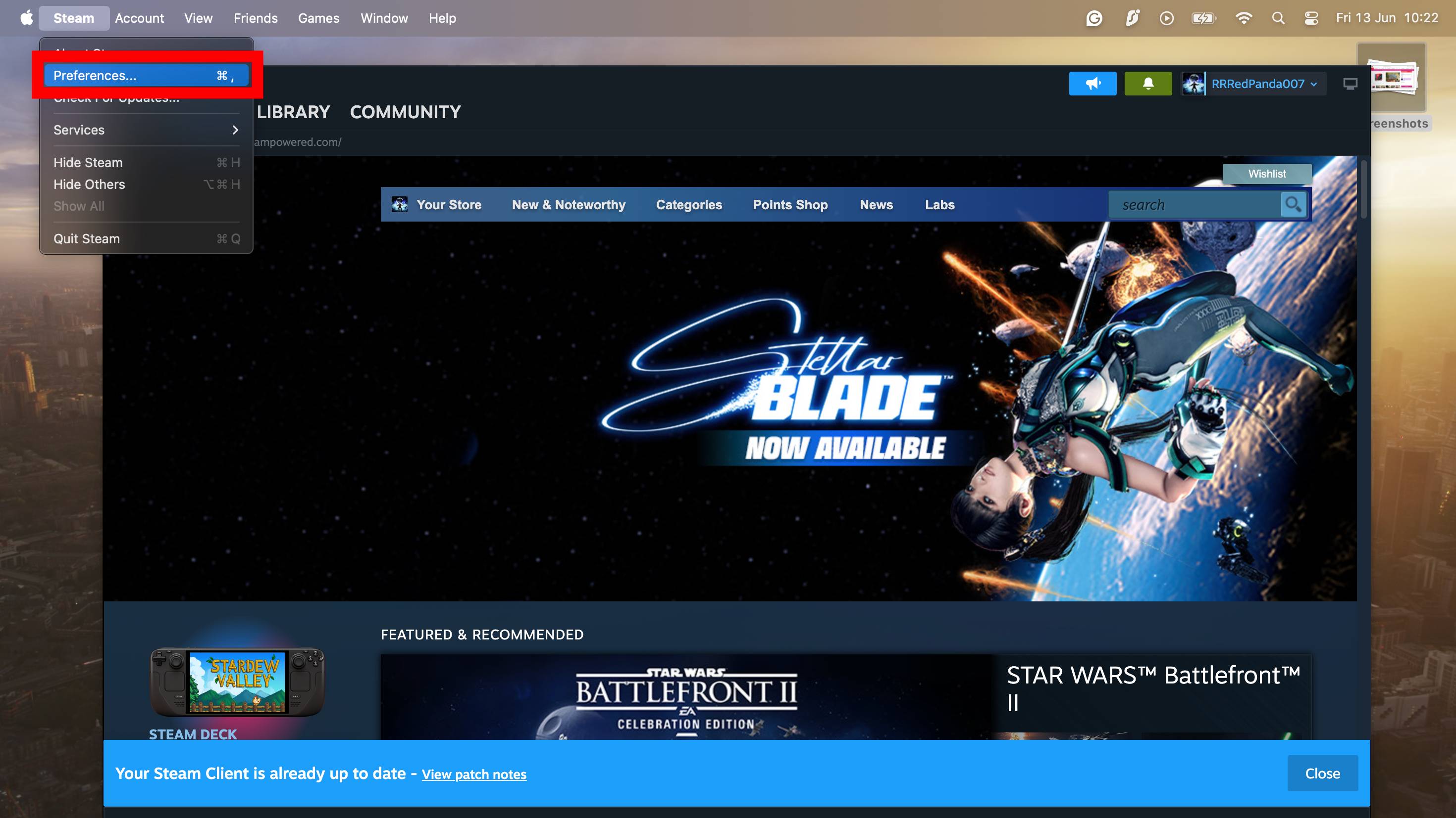 Screenshot of Steam on Mac app with red box highlighting Preferences option