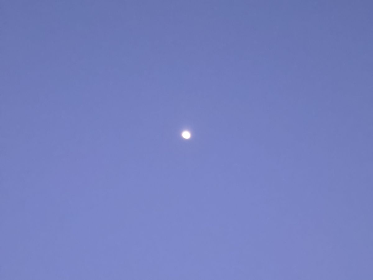 Samsung Galaxy S26 Plus Review Camera Samples