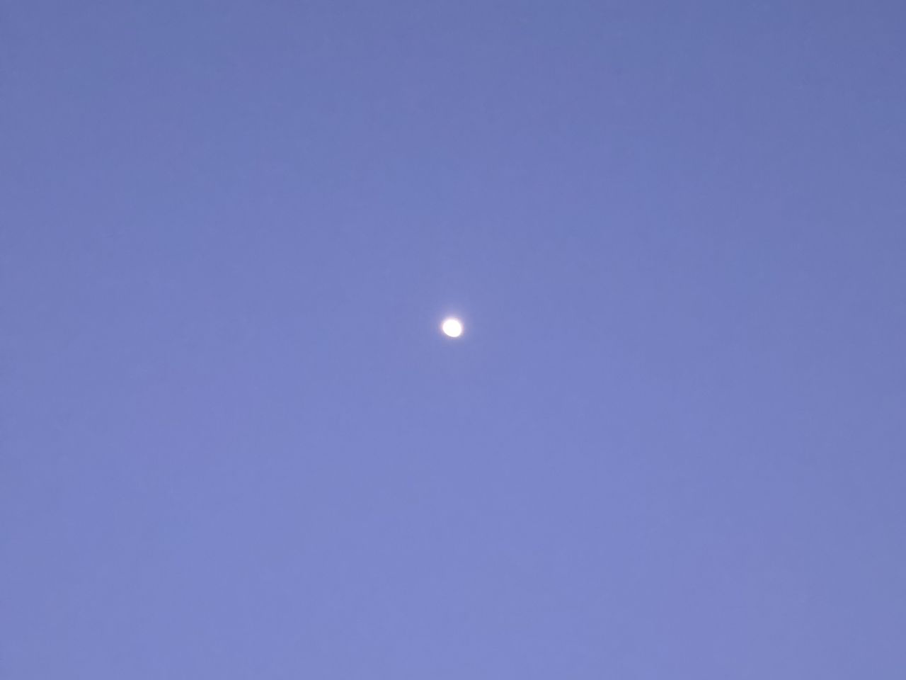 Samsung Galaxy S26 Plus Review Camera Samples