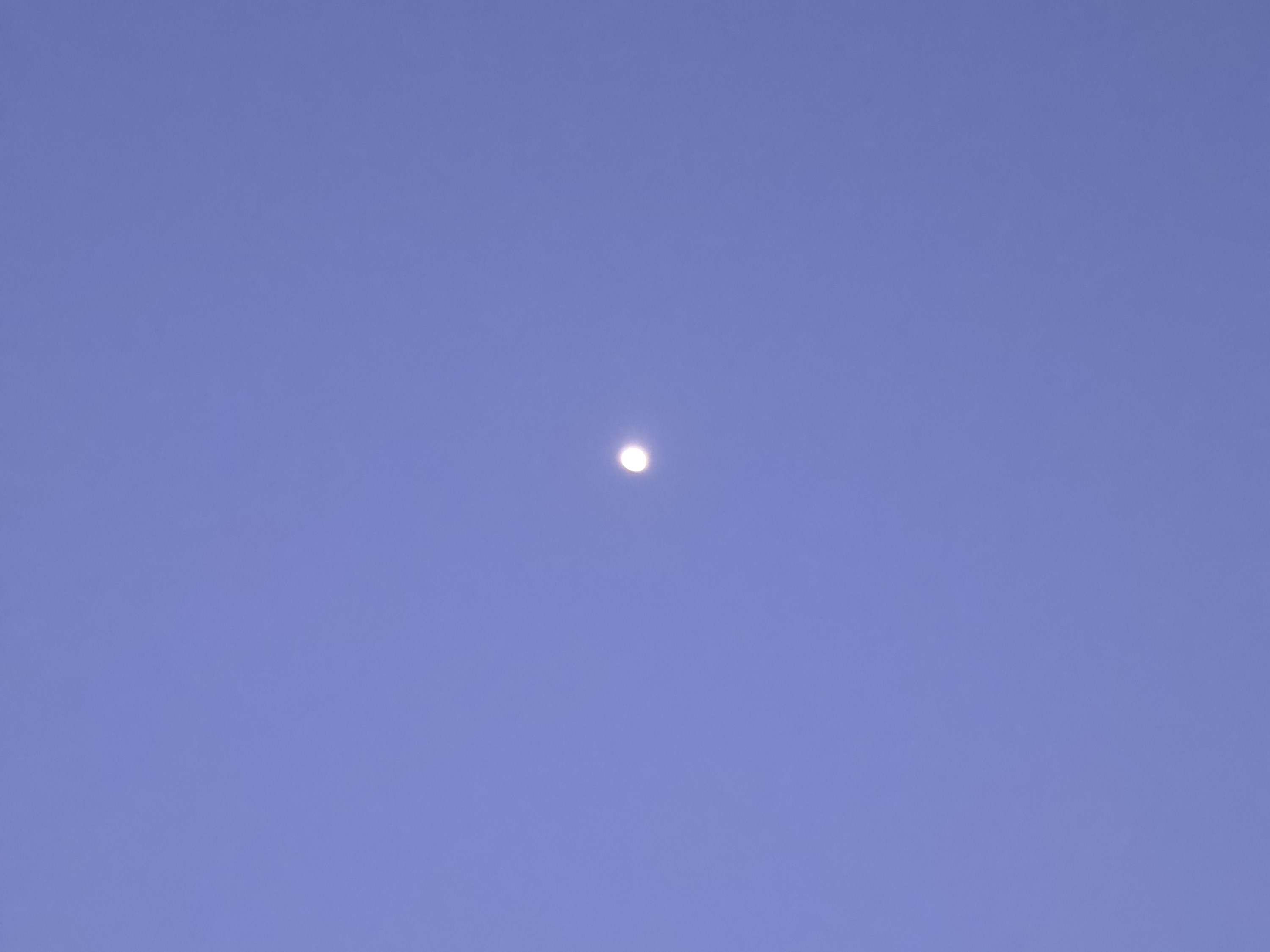 Samsung Galaxy S26 Plus Review Camera Samples