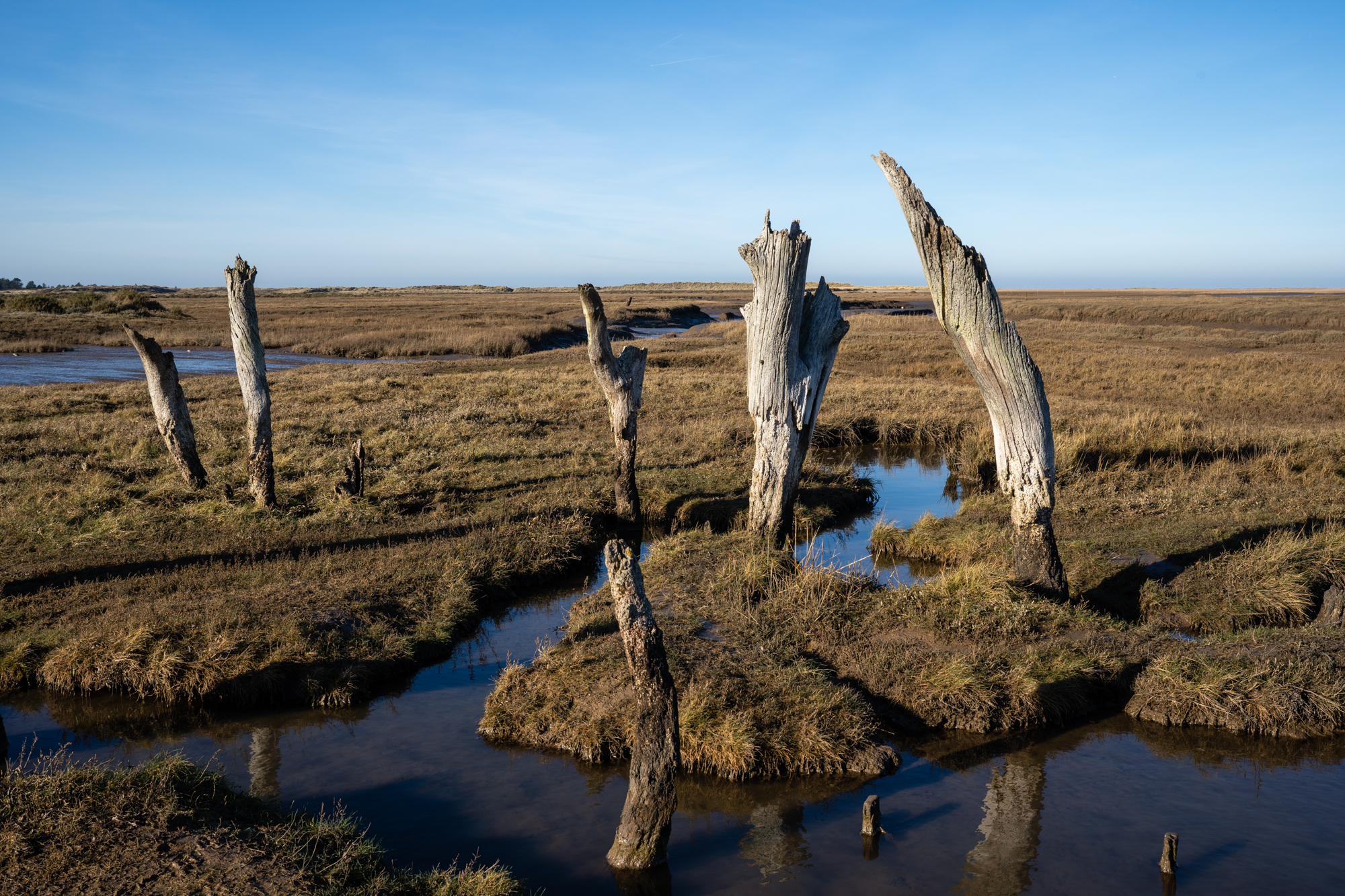 Sony FE 20-70mm F4 G lens sample image of landscape