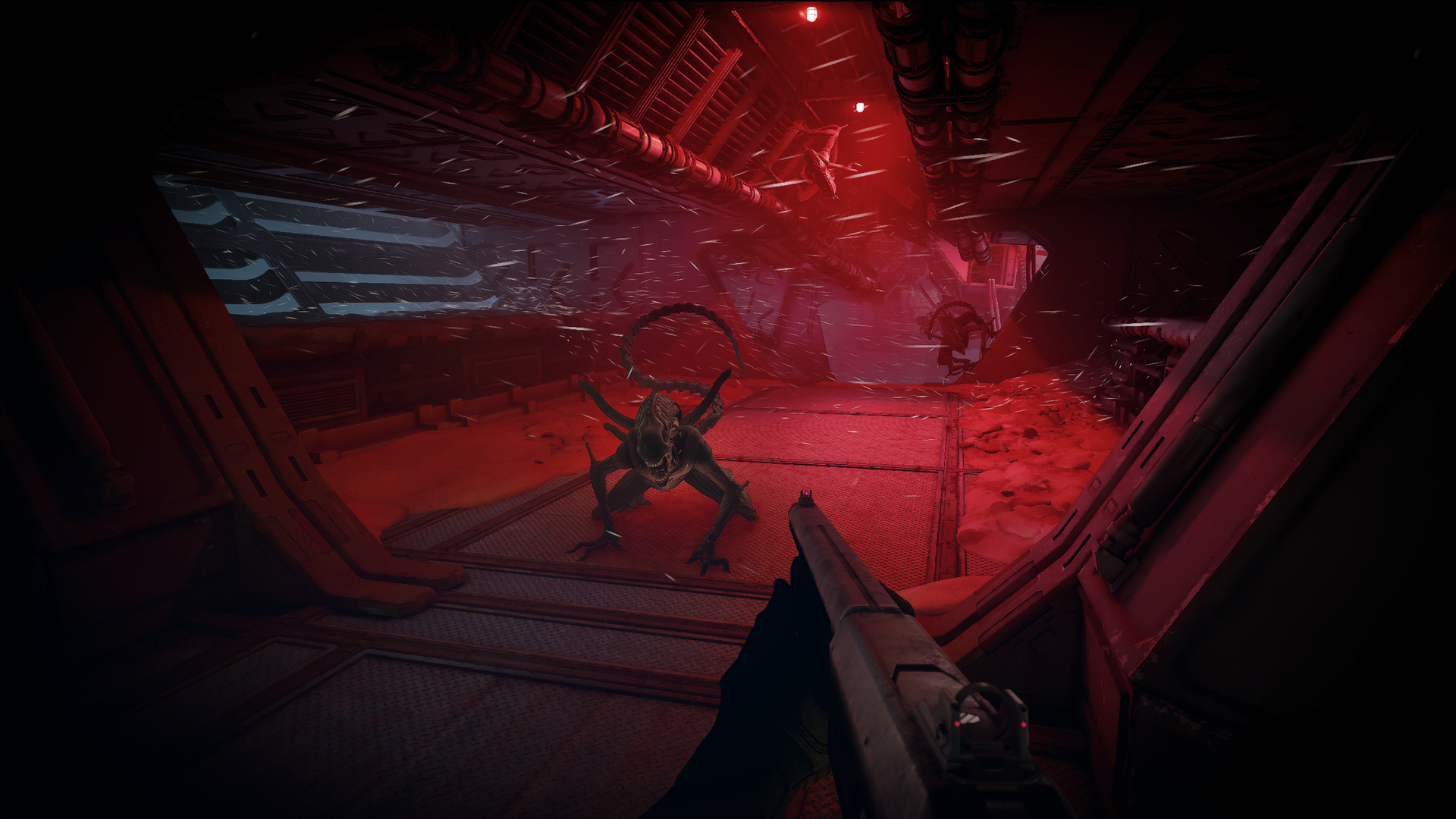 screenshots from a video game showing a first-person view of a character in a darkly-lit spaceship with insect-like aliens running through it