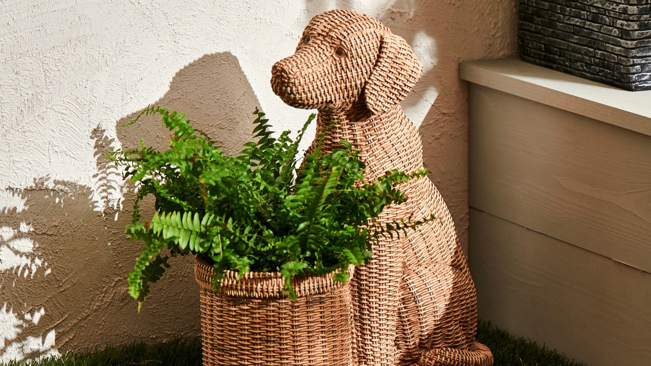 wicker dog with fern 