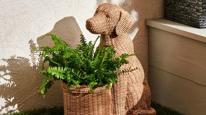 wicker dog with fern 