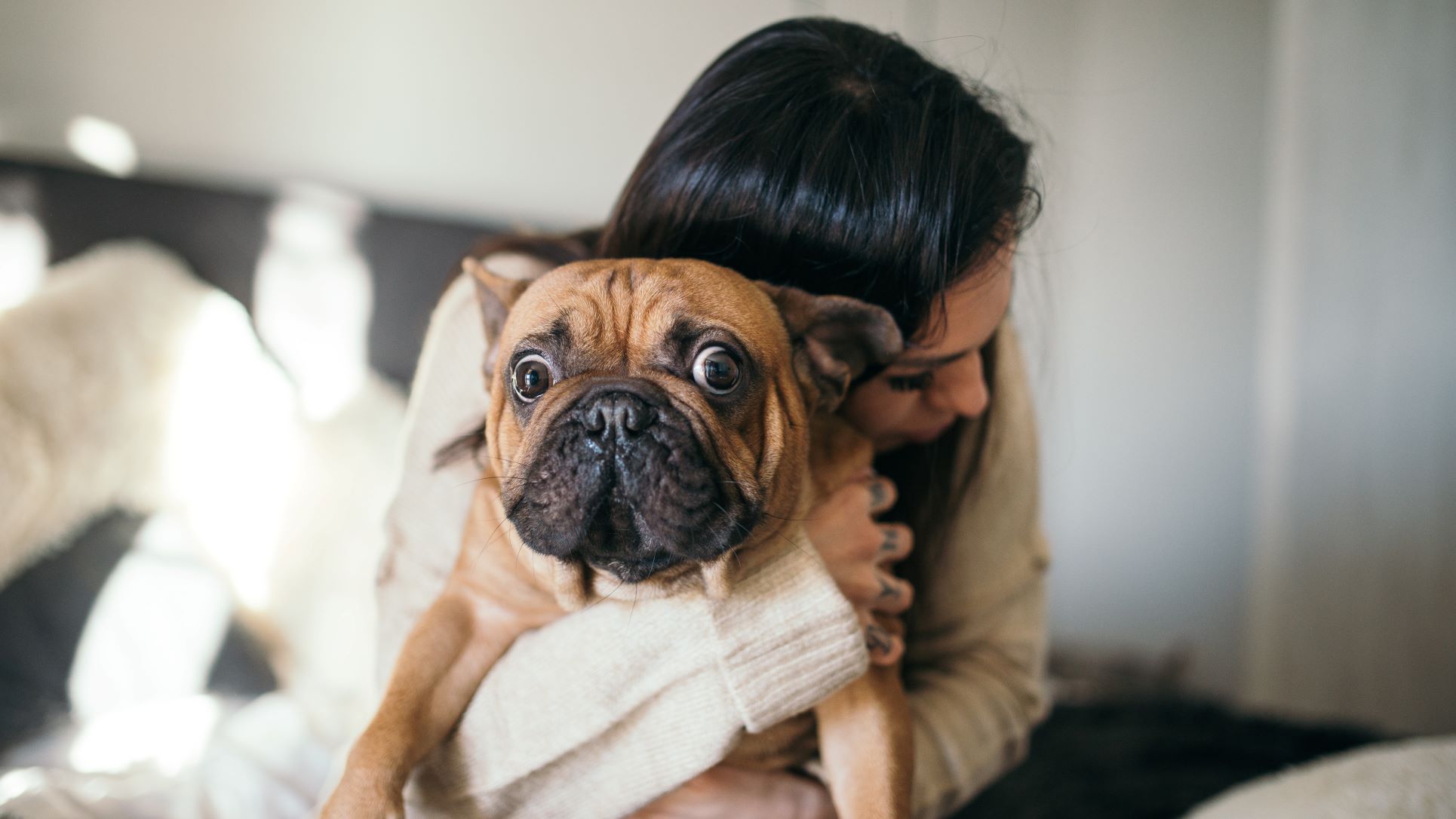 I learned these five dog body language cues and they changed my relationship with my dog