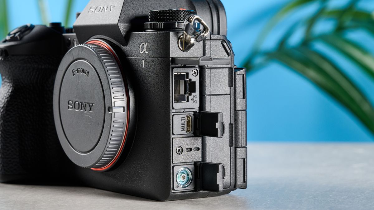 A black Sony A1 II mirrorless camera for sports and wildlife photography