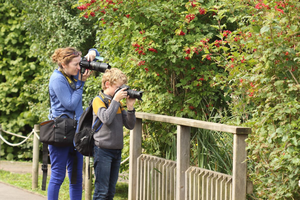 Four family wildlife photography courses are available at the WWT Slimbridge nature reserve in 2019 