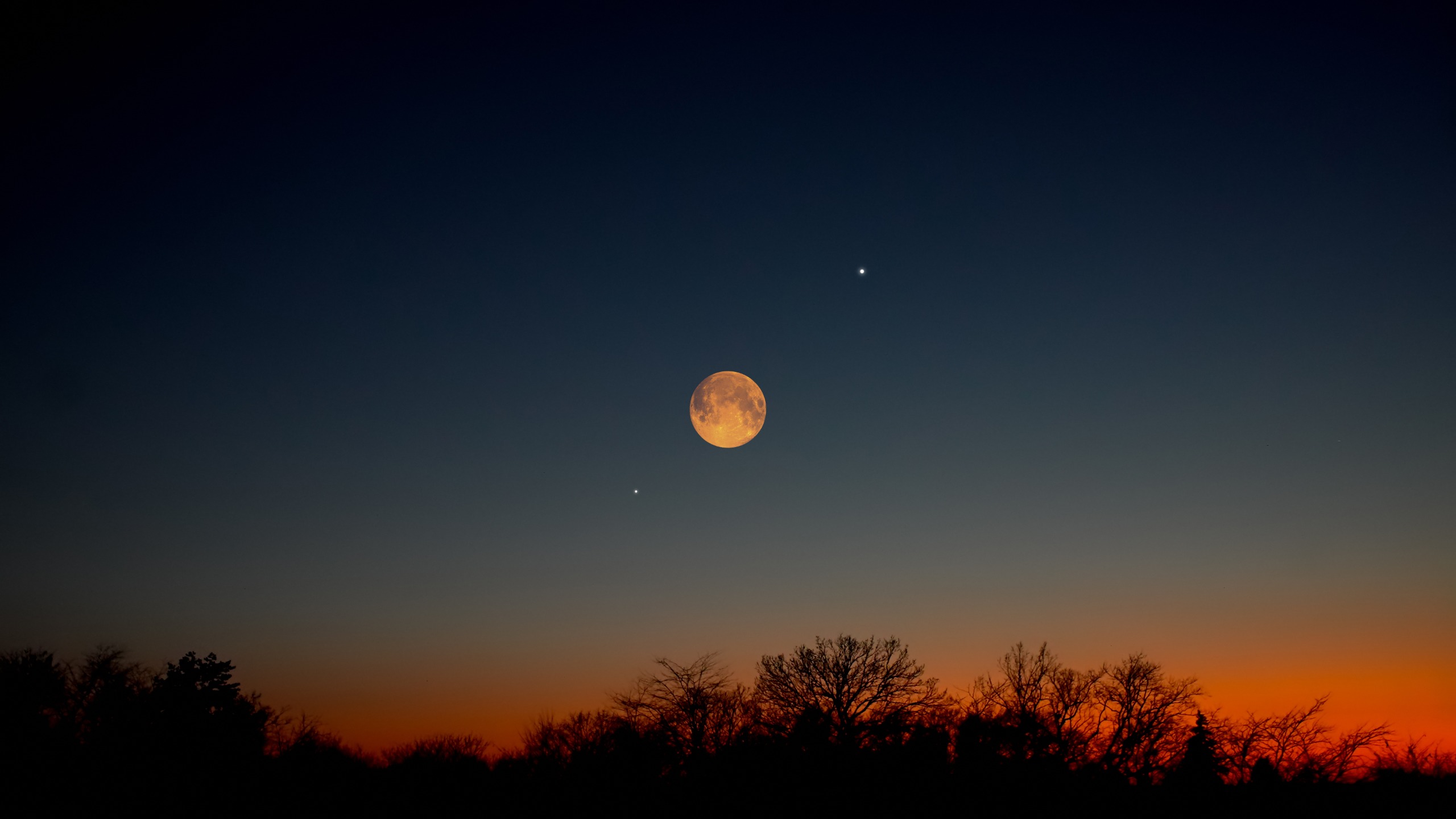 full moon shines low in the sky with a soft orange red glow on the horizon and trees silhouetted in the foreground.