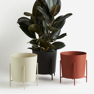 Extra large plant pots in varying colors