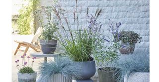 garden with potted plants inspired by shoreline simplicity to support a key a garden trend of 2024