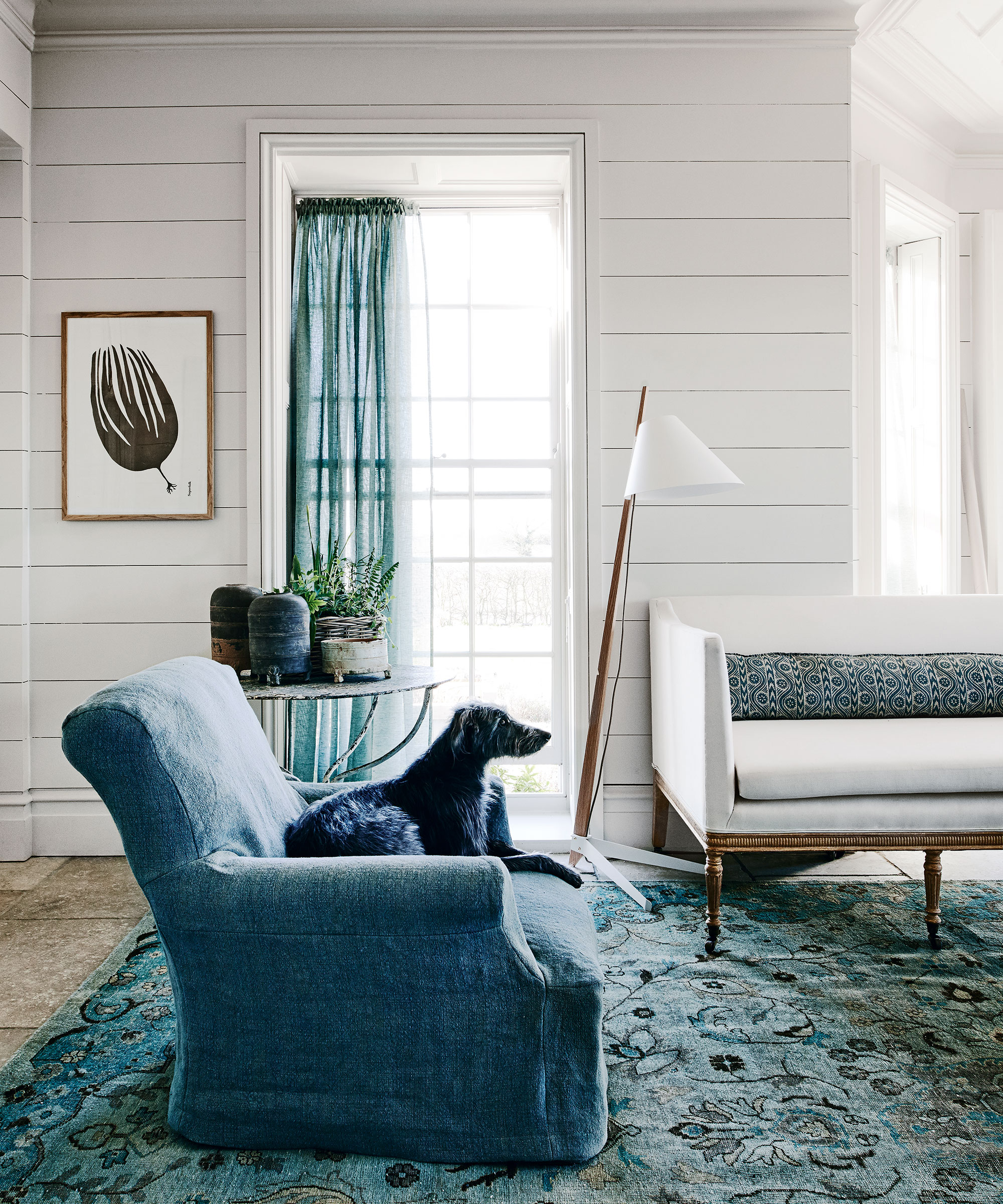 Living room with white walls and teal