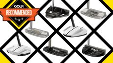 Best Ping Putters