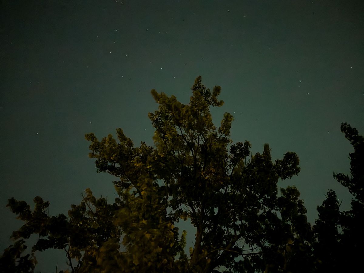 Google Pixel 10 camera sample.