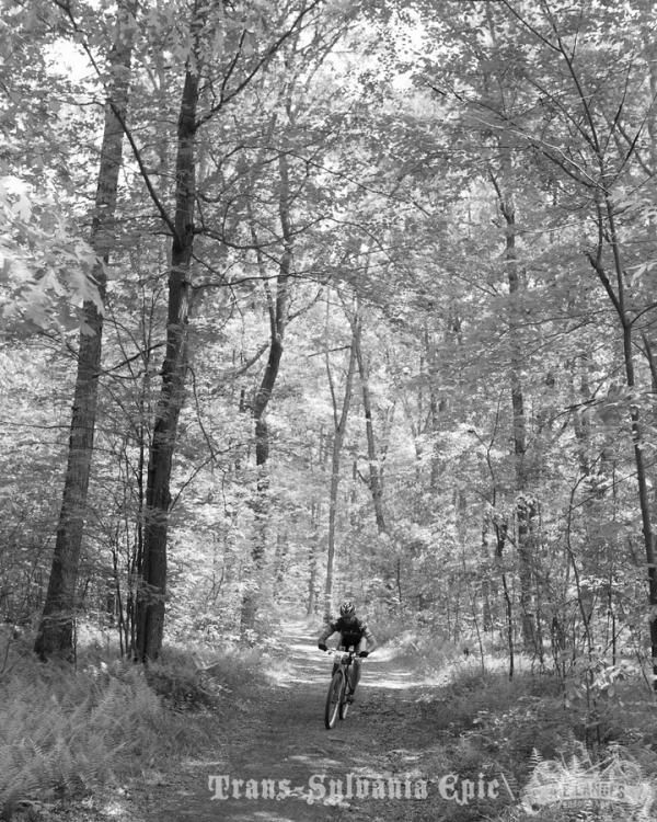 PA offers incredible scenery