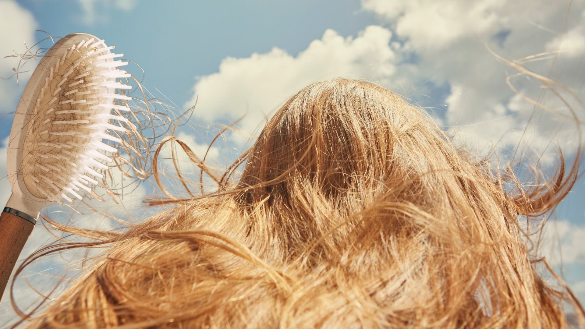 the back of a woman's head with light brown hair against a blue cloud sky with a hairbrush full of loose hair